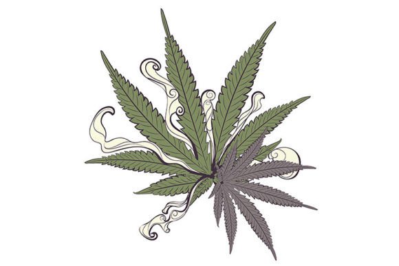 Marijuana Colorful Leaf: Aesthetic and Functional Beauty on a White Background